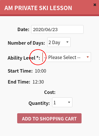 Options set as compulsory are marked with an asterisk *.